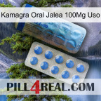 Kamagra Oral Jelly 100Mg Use 40